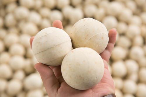 <a href='http://www.xinhaocd.cn/ml/71.html' target='_blank'><u>高鋁蓄熱球生產(chǎn)廠家</u></a>