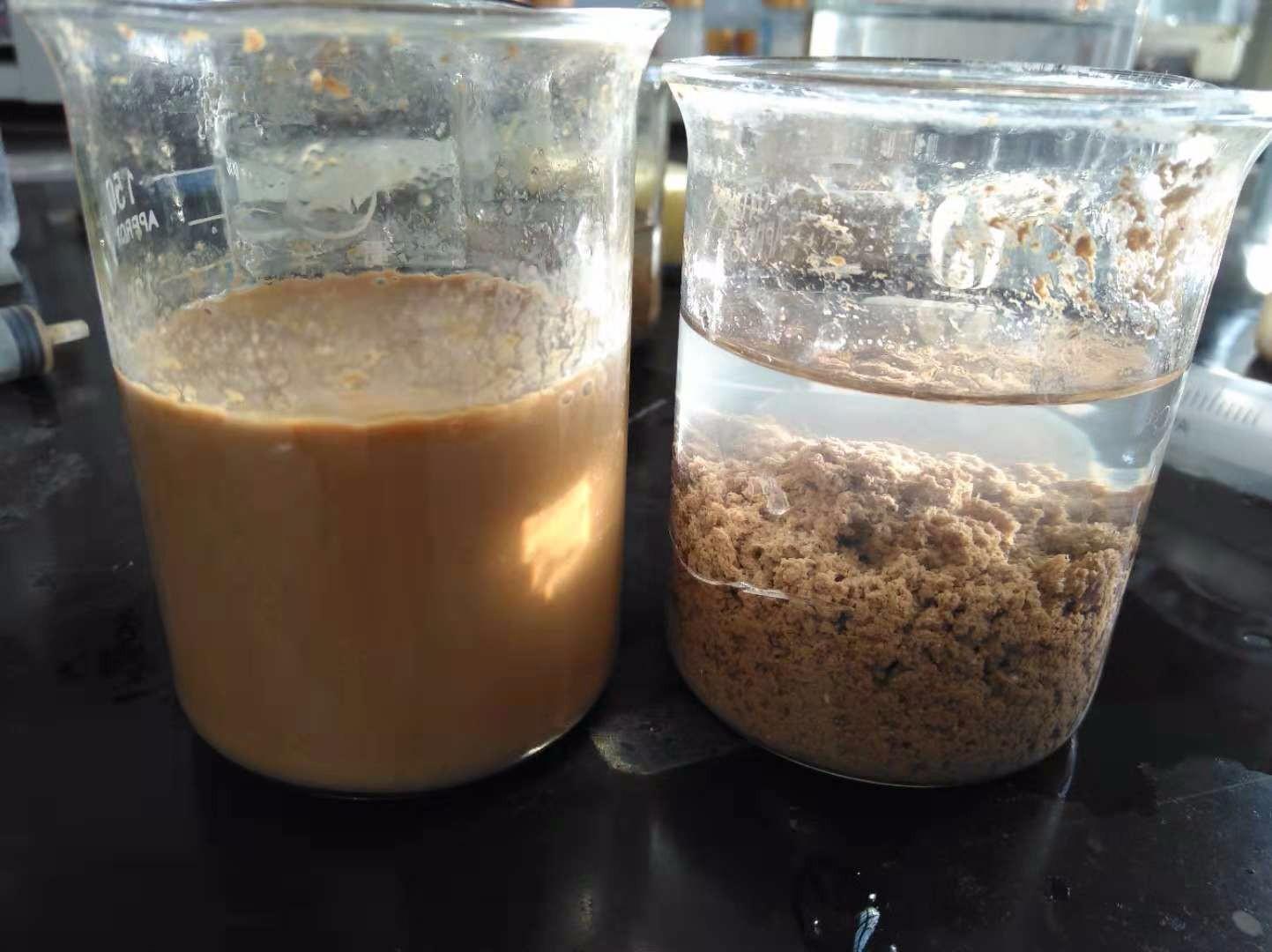 <a href='http://www.xinhaocd.cn/jsyj/992.html' target='_blank'><u>非離子聚丙烯酰胺生產(chǎn)廠家</u></a>