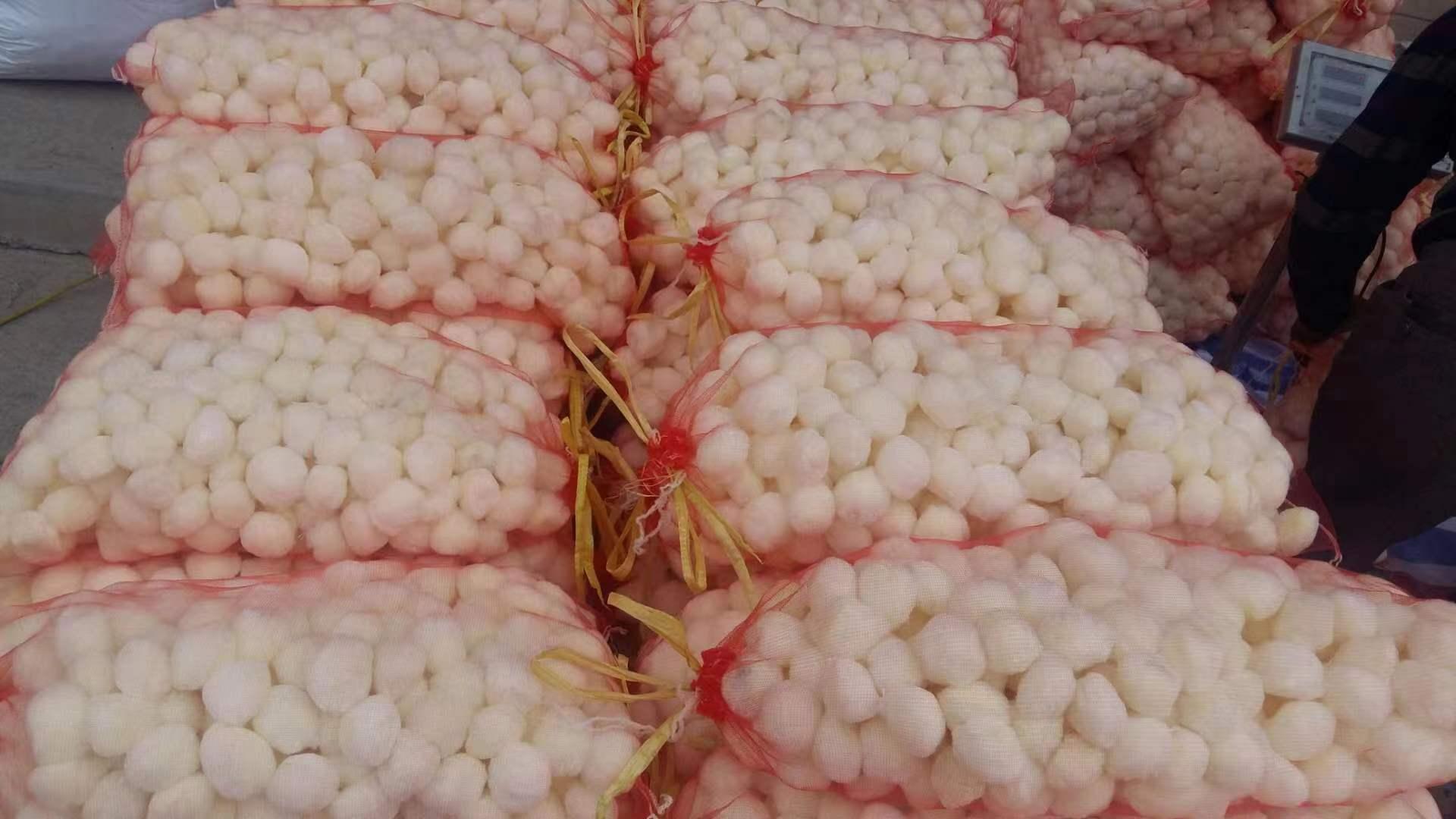 �|��ˮ̎�������w�S��?y��n)V�����a(ch��n)�S��